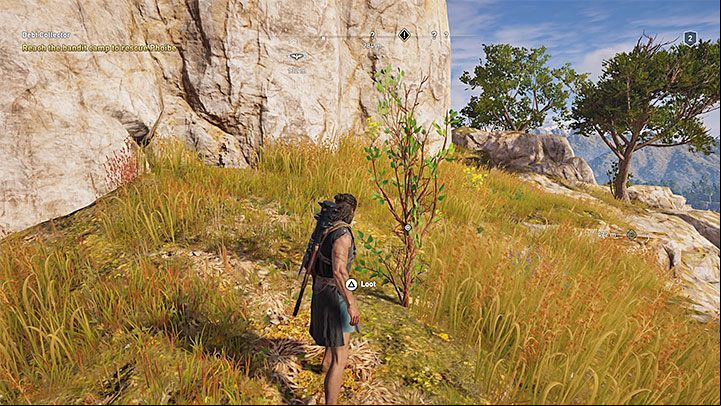 Olive Wood is acquired by interacting with small trees - the picture above shows an example - AC Odyssey: How to get crafting materials? - FAQ - Assassins Creed Odyssey Guide