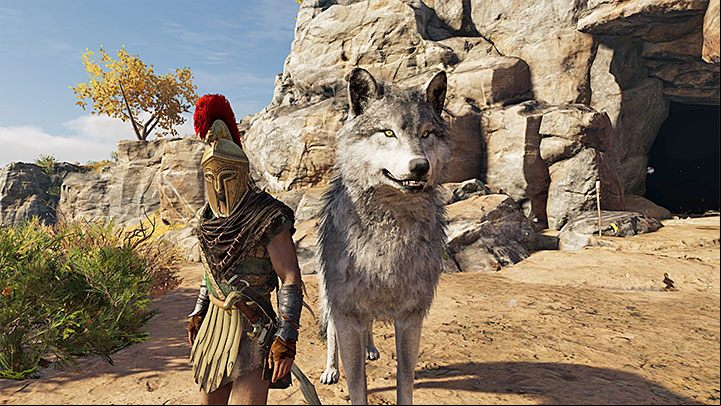 In order to tame a predator, you must weaken it sufficiently during the fight and stun it - AC Odyssey: Can I tame a pet? - FAQ - Assassins Creed Odyssey Guide
