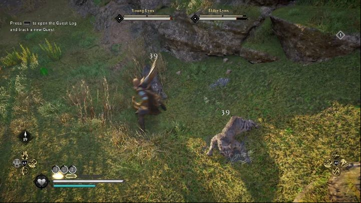 Focus on one of your opponents - Assassins Creed Valhalla: Legendary Animal - Hamtunscire secrets, locations - Hamtunscire - Assassins Creed Valhalla Guide and Walkthrough