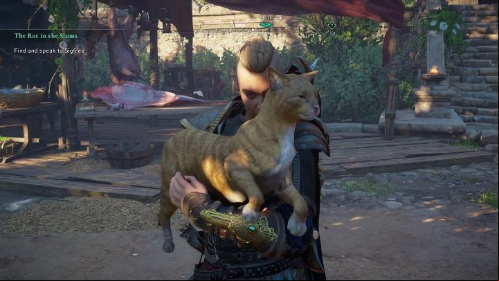 Approach a cat to pet it - AC Valhalla Siege of Paris: Pat the Cats - how to get the trophy, all cats - Trophy Guide - Assassins Creed Valhalla Guide and Walkthrough