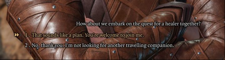 1 - Baldurs Gate 3: Party management - Party - Baldurs Gate 3 Guide, Walkthrough