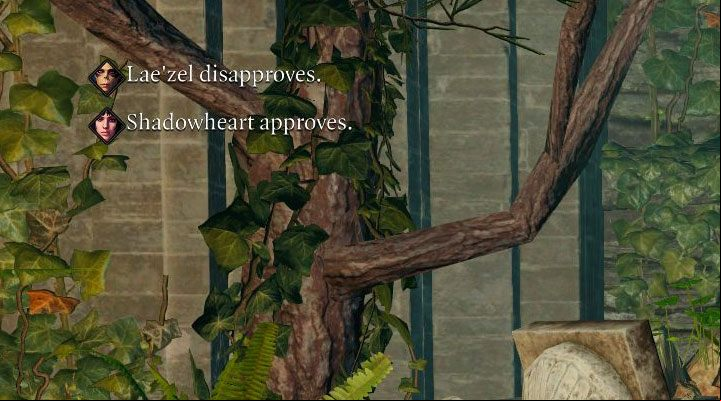 The topic of the approval indicator of party has been described in more detail on a separate page How to check a companion's - Baldurs Gate 3: Party management - Party - Baldurs Gate 3 Guide, Walkthrough