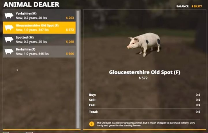 We only breed pigs to sell them for meat - Farming Simulator 19: Seasons 19 - Farm animals - Seasons 19 - Farming Simulator 19 Guide and Tips