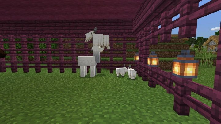 Goats are divided into three types- ordinary, small and screaming - Minecraft Caves & Cliffs: Goat - occurrence, usage - Mobs - Minecraft Guide