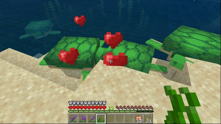 You can multiply - Minecraft: Animal husbandry - how to breed? - Village life - Minecraft Guide
